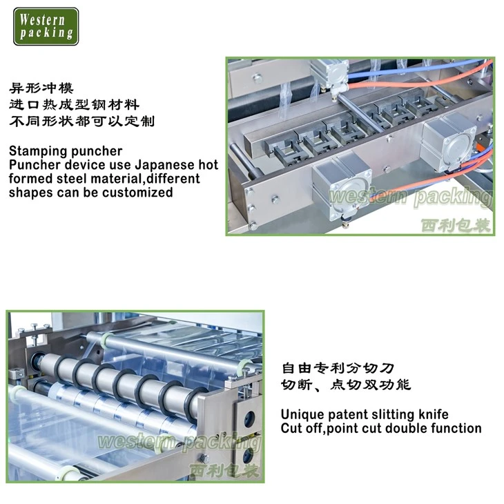 bleaching powder packing machine